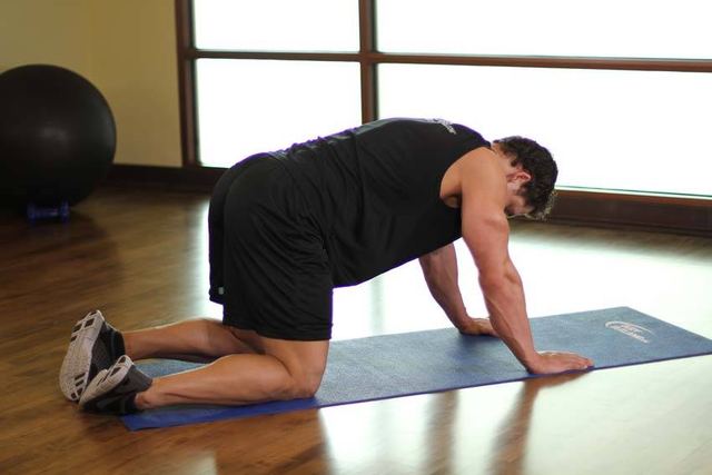 Cat-Cow Stretch – start position