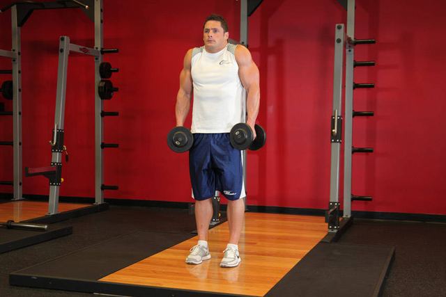 Dumbbell Shrugs – end position