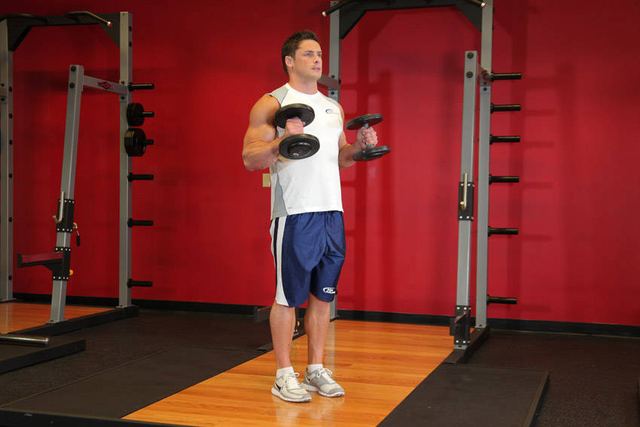 Hammer Curls – end position