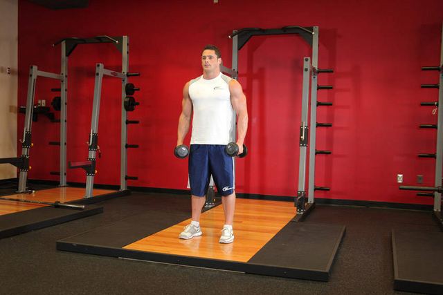 Lateral Raises – start position