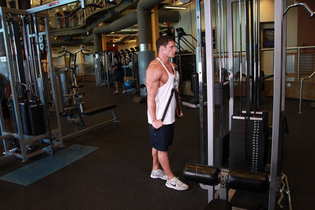 Triceps Rope Pushdowns – end position